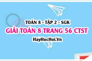 Giải Toán 8 trang 56 tập 2 Chân trời sáng tạo